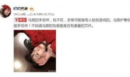 马蓉母亲爆料王宝强视频,一场家庭纷争的幕后黑幕